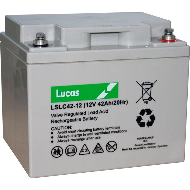 LSLC42-12 SEALED LEAD ACID VRLA BATTERY 12V 42AH FNC12420-Powerland