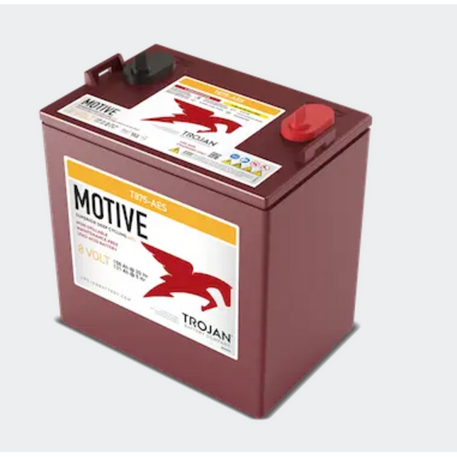 T875-AES 8V AGM Battery