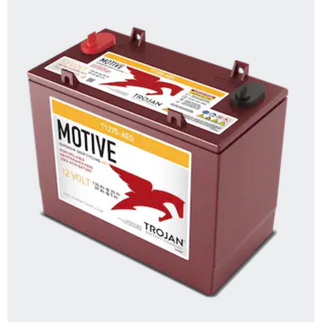 T1275-AES 12V AGM Battery