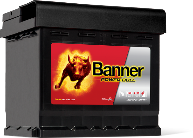 Banner (P5003) Power Bull Car Battery 12v 50Ah 450A (012, 079)-Powerland